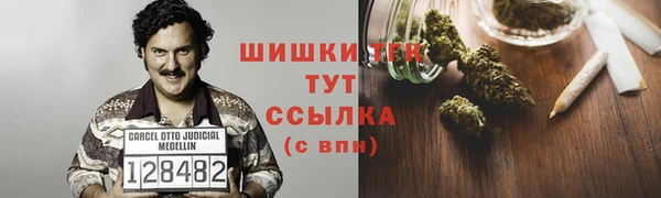 mdpv Богородицк