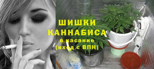 mdpv Богородицк