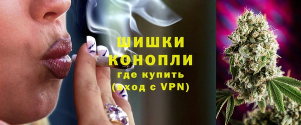 мдпв Богородск