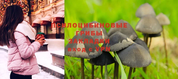 МДМА Бородино